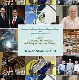 2012b-AnnualReports