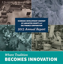 2013-AnnualReports